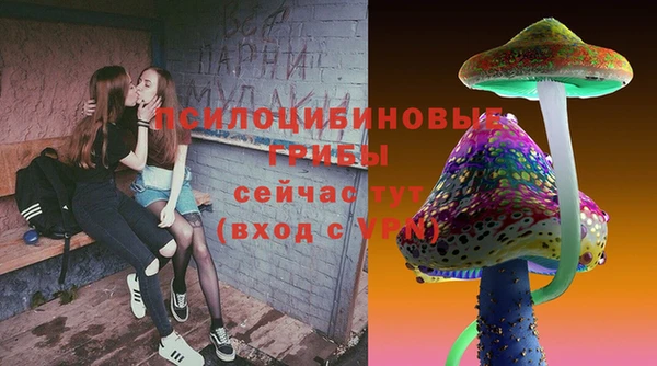 a pvp Аркадак