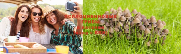 первитин Армянск