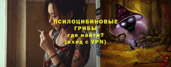 a pvp Аркадак