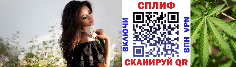 Каннабис сатива Богучар